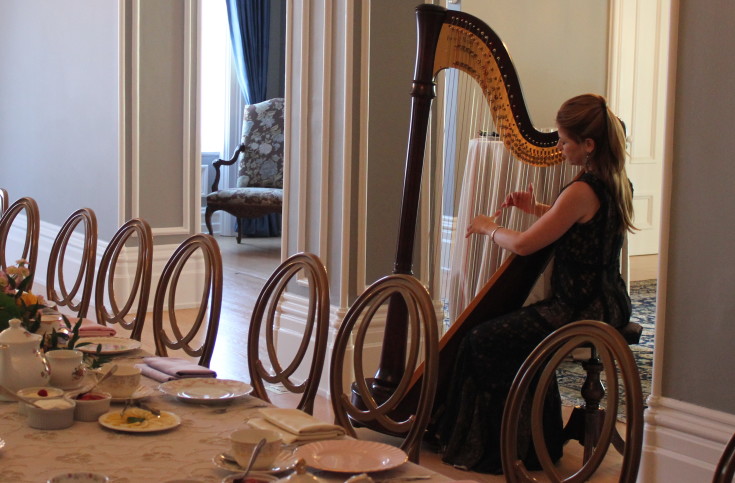 Harpist to entertain your catering menu guests